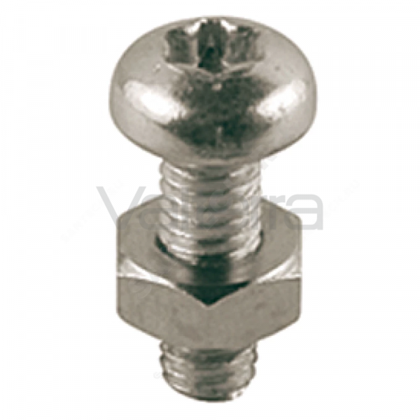 Винт R454D для антивандальных оболочек R455C Giacomini
