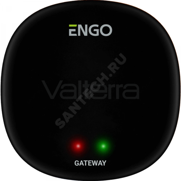 Интернет шлюз универсальный ENGO